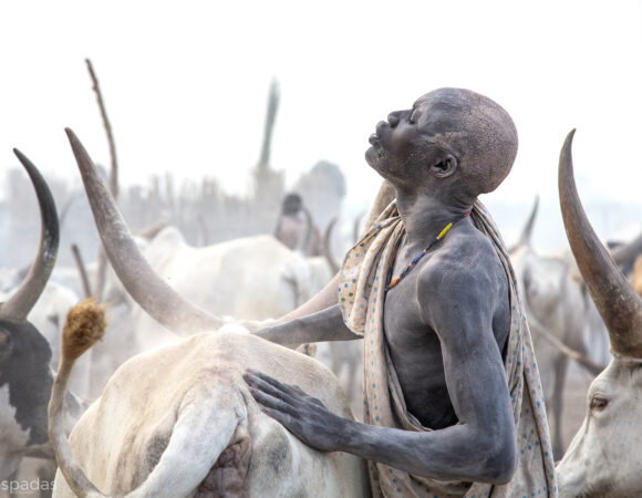 7-Day Journey Through Dinka  Mundari Lands and sudd swamps