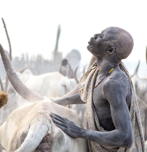 7-Day Journey Through Dinka  Mundari Lands and sudd swamps