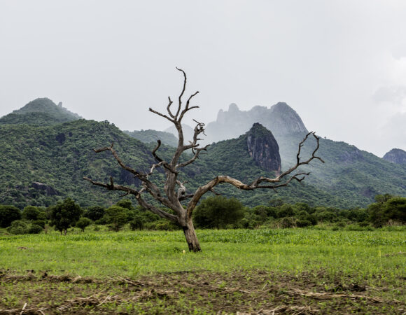 Hiking Mount Imatong: A 6-Day Adventure Through the Southern Route