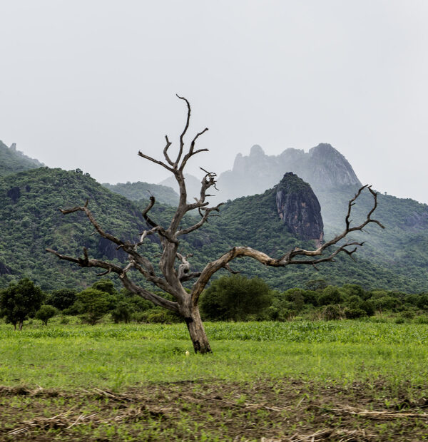 Hiking Mount Imatong: A 6-Day Adventure Through the Southern Route