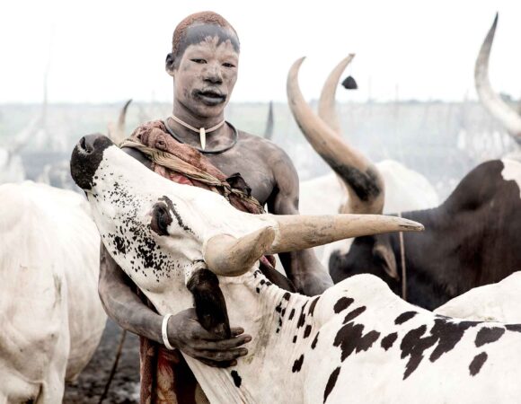 3-Day Immersive Experience with the Mundari Tribe